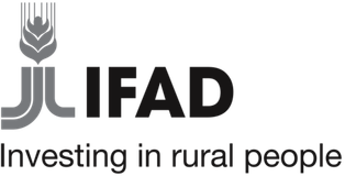FIDA